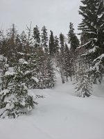 La Tzoumaz – Savoleyres