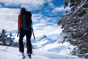 Rando Parc Marmottes