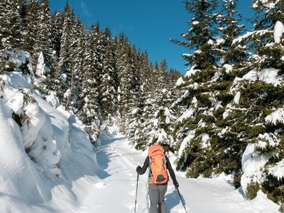 Combe d'Orsay – Grand Chamossaire