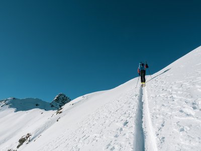 13. Petit Loup (vert)